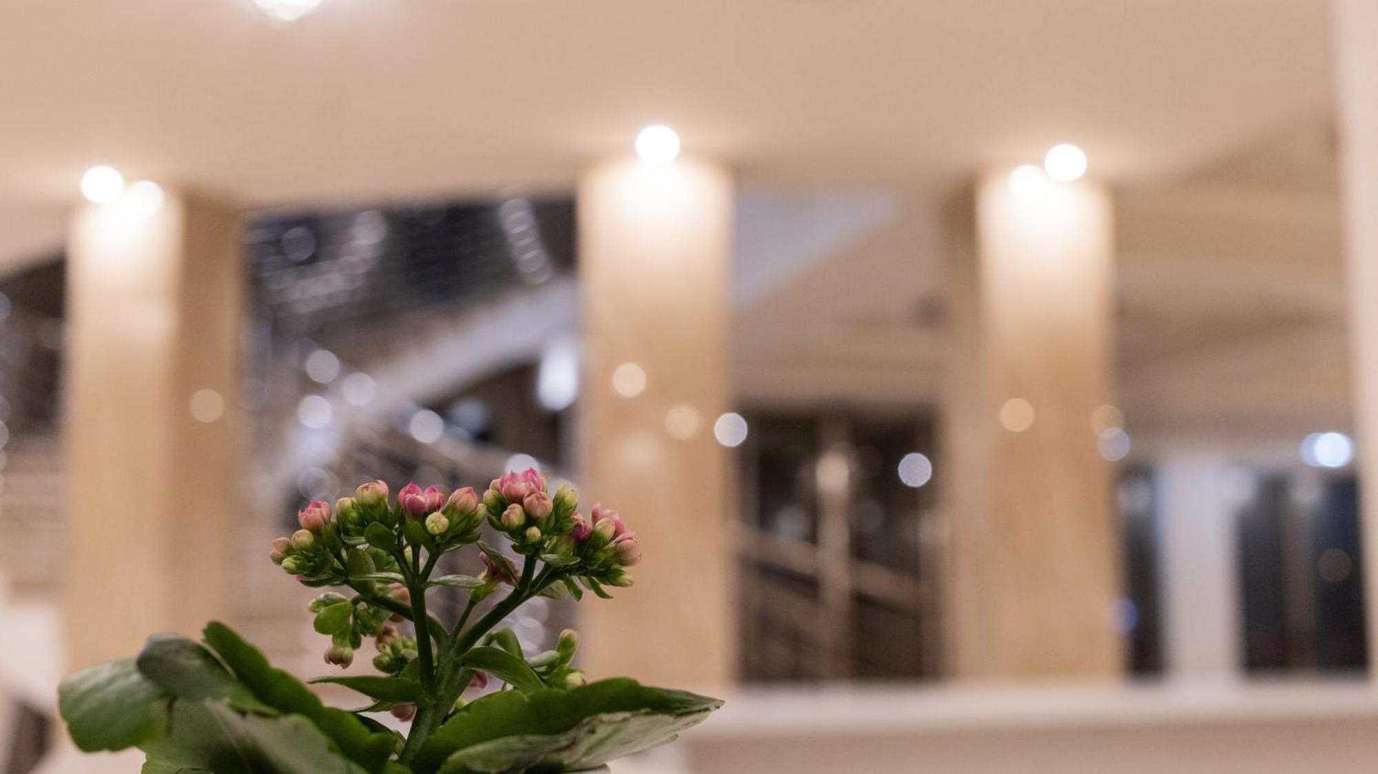 Hotel Donna Crescenza Locorotondo Eksteriør bilde